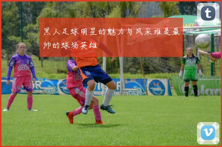 黑人足球明星的魅力与风采谁是最帅的球场英雄