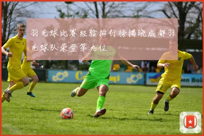 羽毛球比赛经验排行榜揭晓成都羽毛球队荣登第九位