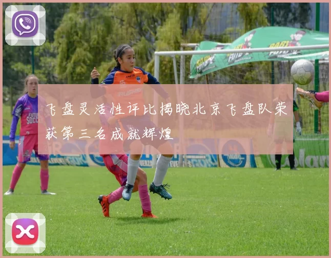 飞盘灵活性评比揭晓北京飞盘队荣获第三名成就辉煌