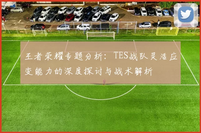 王者荣耀专题分析：TES战队灵活应变能力的深度探讨与战术解析