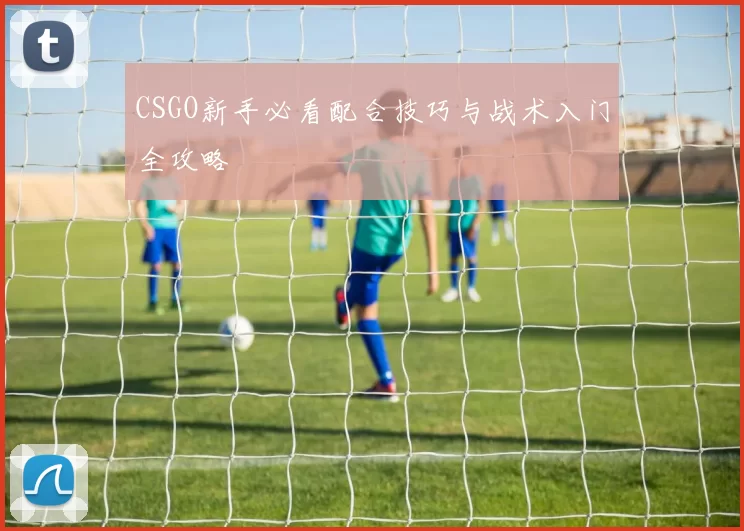 CSGO新手必看配合技巧与战术入门全攻略