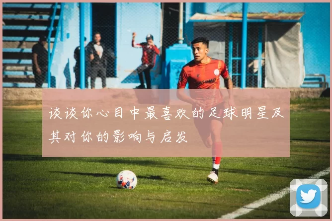 谈谈你心目中最喜欢的足球明星及其对你的影响与启发