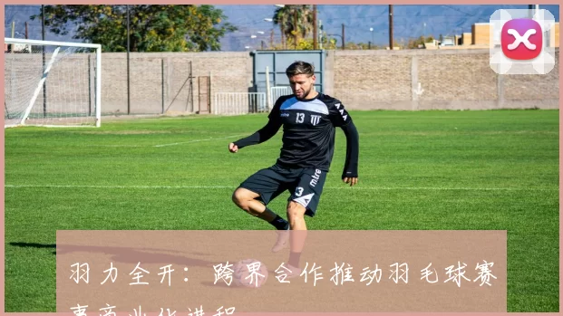 羽力全开：跨界合作推动羽毛球赛事商业化进程