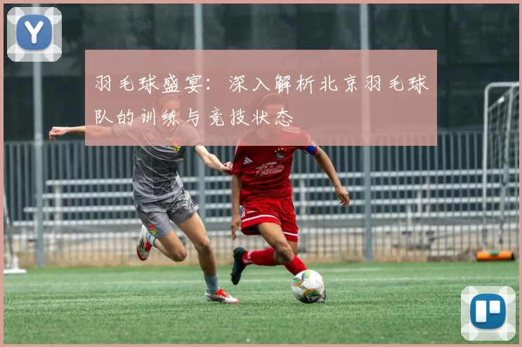 羽毛球盛宴：深入解析北京羽毛球队的训练与竞技状态