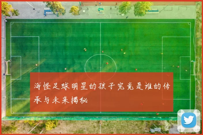 海怪足球明星的孩子究竟是谁的传承与未来揭秘