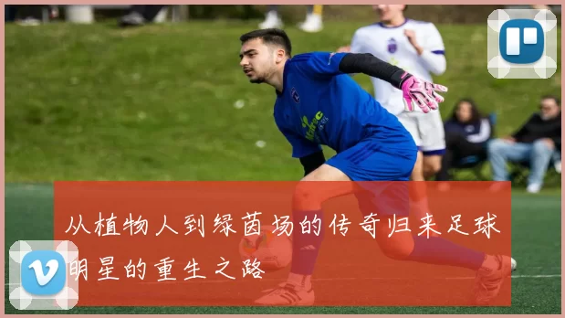从植物人到绿茵场的传奇归来足球明星的重生之路