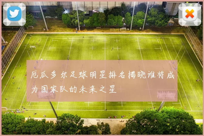 厄瓜多尔足球明星排名揭晓谁将成为国家队的未来之星