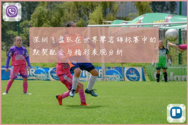 深圳飞盘队在世界攀岩锦标赛中的默契配合与精彩表现分析
