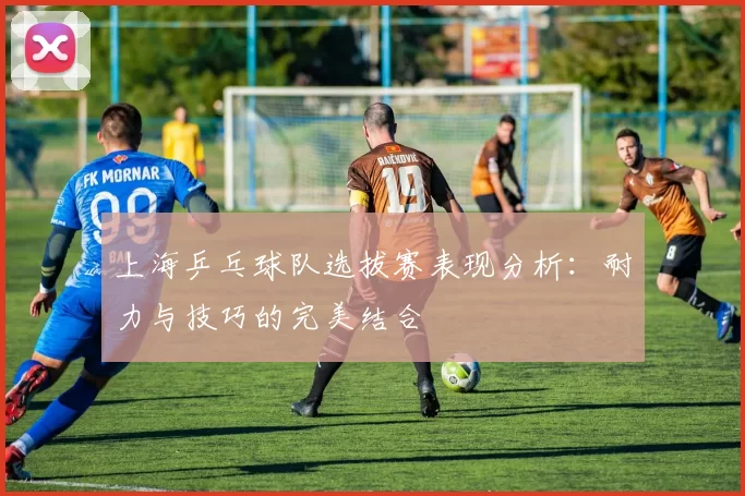 上海乒乓球队选拔赛表现分析：耐力与技巧的完美结合