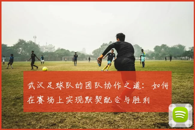 武汉足球队的团队协作之道：如何在赛场上实现默契配合与胜利