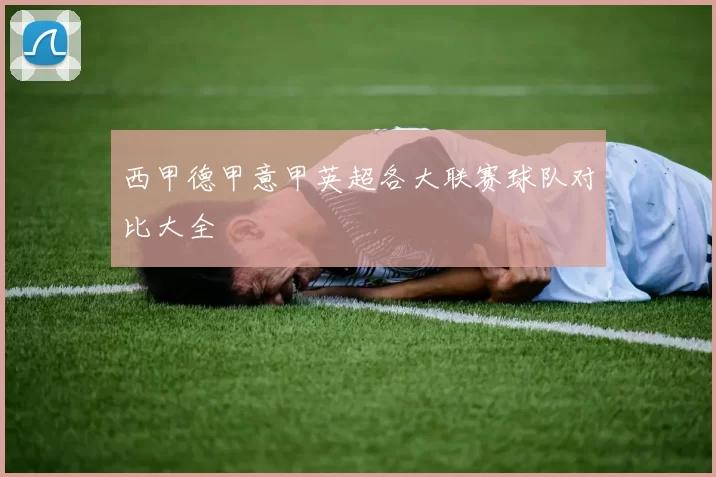 西甲德甲意甲英超各大联赛球队对比大全