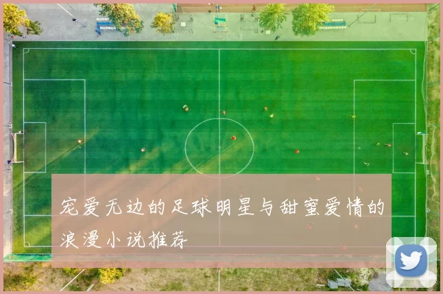 宠爱无边的足球明星与甜蜜爱情的浪漫小说推荐